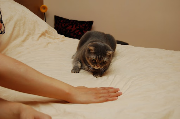 Step 2: 望實