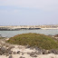 SANY0163.JPG