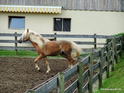 Kindlerhof
