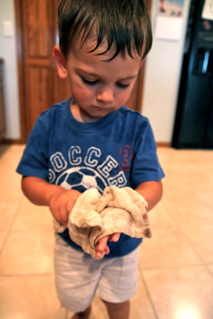 IMG_5167.jpg IMG_5167.jpg