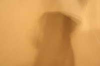 Some dogs are a blur ...