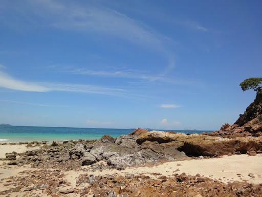 DSC00816.JPG