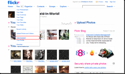 flickr1 flickr1
