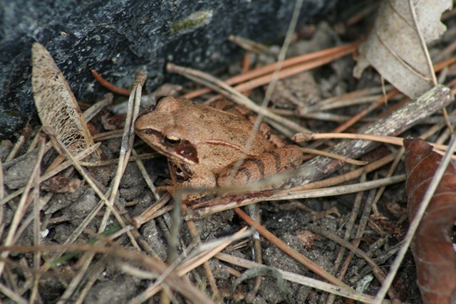 IMG_7135 IMG_7135