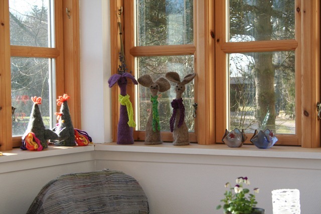 IMG_7010 IMG_7010