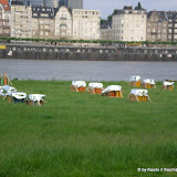 cimg0149.jpg