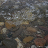 cimg0167.jpg