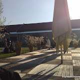 18042009103_NLT.jpg