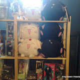 18092009497_NLT.jpg