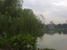 DSC00051.JPG