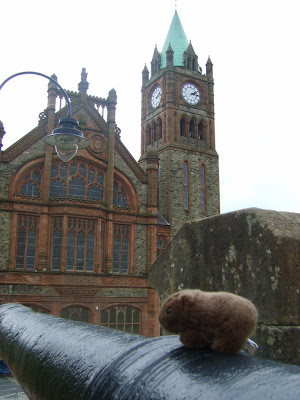 The Wombat on Derry city walls