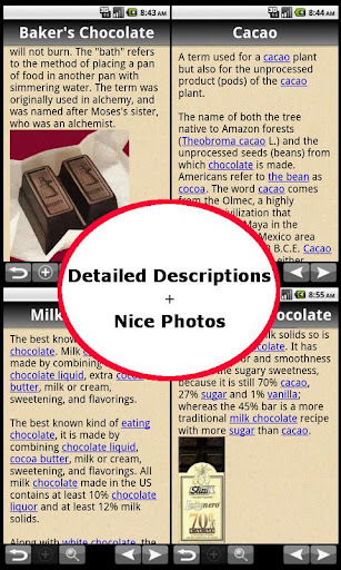 Chocolate Glossary Terms