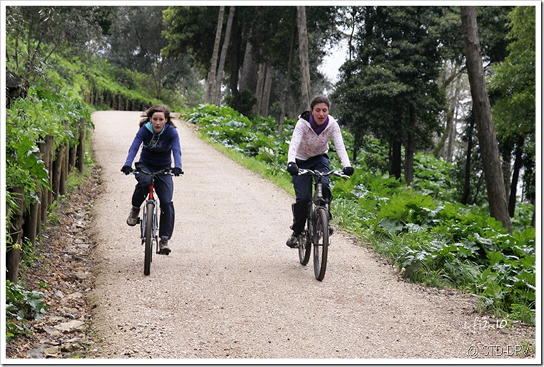 BTT 18Fev10 036 copy