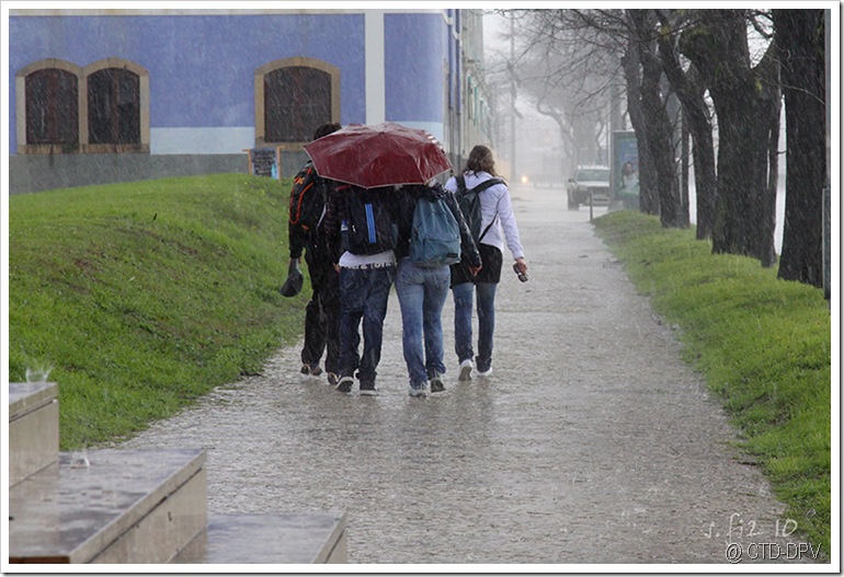 pedipaper belém 23fev10 058 copy