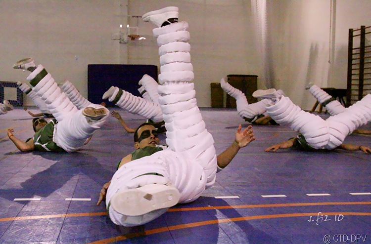 [sarau dpv 302 copy[2].jpg]