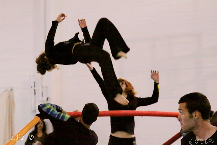 [sarau dpv 316 copy[2].jpg]