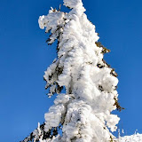 Österreich 2005