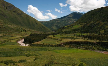 [IMG_29583.jpg]