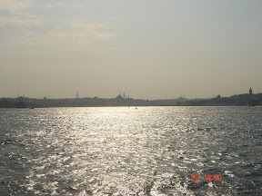 DSC02540.JPG
