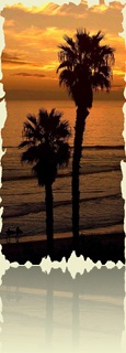 465487-Surfing at Sunset