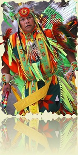 457880-Native Color