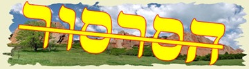 לרוב הנערות העובדות מעולם לא היה סרסור