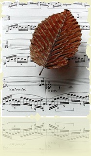 116909-Flying on music-No digital effect on this image.