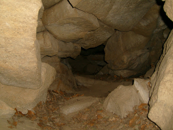 http://lh4.ggpht.com/_AK0lvltOPAo/SJW5NmvgvQI/AAAAAAAAFMA/b8EZj0fcXfs/s576/S7302223.JPG