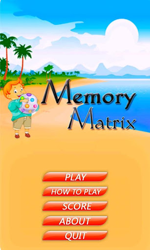 Memory Matrix