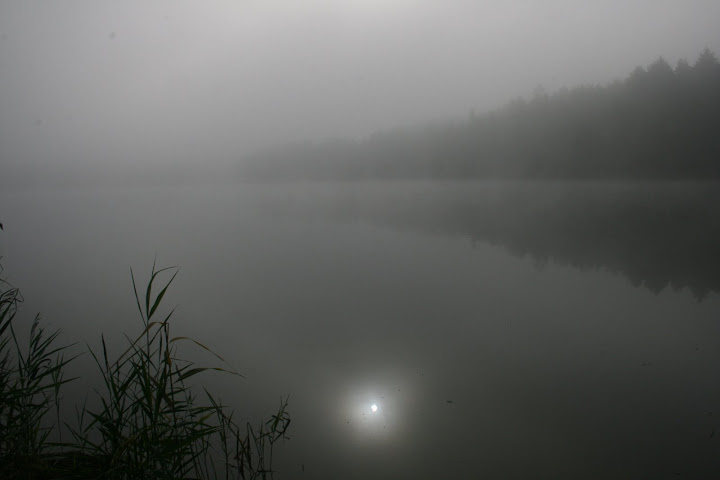 pic6%20368.jpg