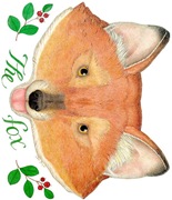 the_fox