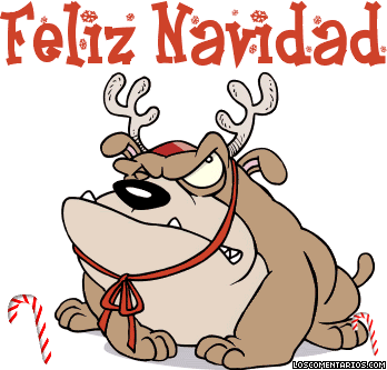 d1 sp1fyx0j d1 sp1fyx0j