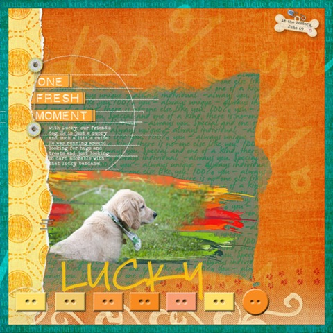 [2009-7-3-DD-Lucky[2].jpg]
