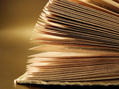 Reading Challenge 2011