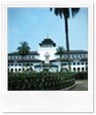 images images