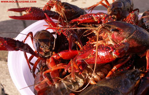 Crawfish+boil+pot