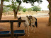SANY0639.JPG