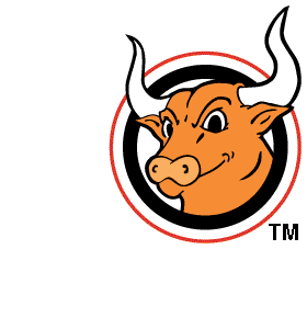 [bullseye logo[3].gif]
