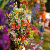 As colorful as it can be