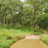 We went through muddy tracks...