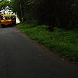 The Kerala state transport buses