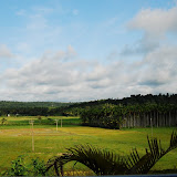 The view from the homestay where we stayed...