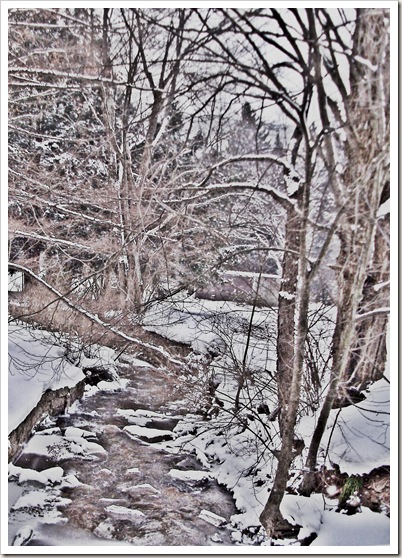 winter tree sketch 2 winter tree sketch 2