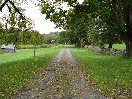 Farm Road