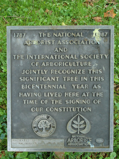 Plaque
