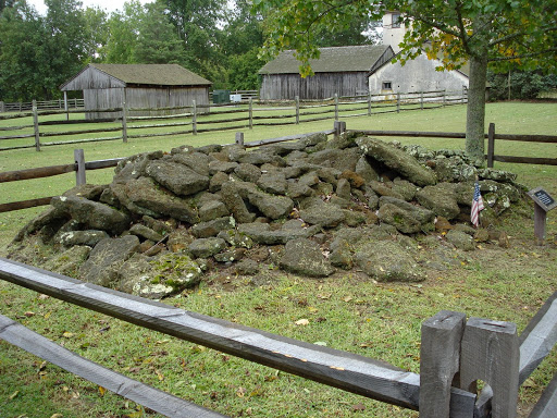 Bog iron