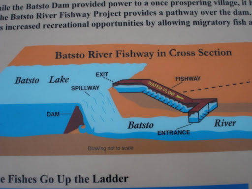 Fish Ladder