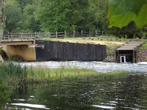 Batsto Lake Dam