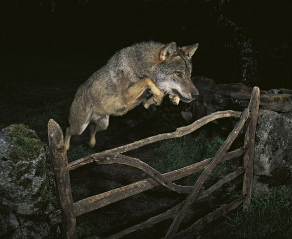 [image[5].png]