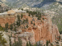 S6301097.JPG Photo